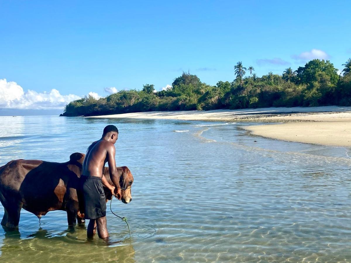 Hytte Kingstone Zanzibar