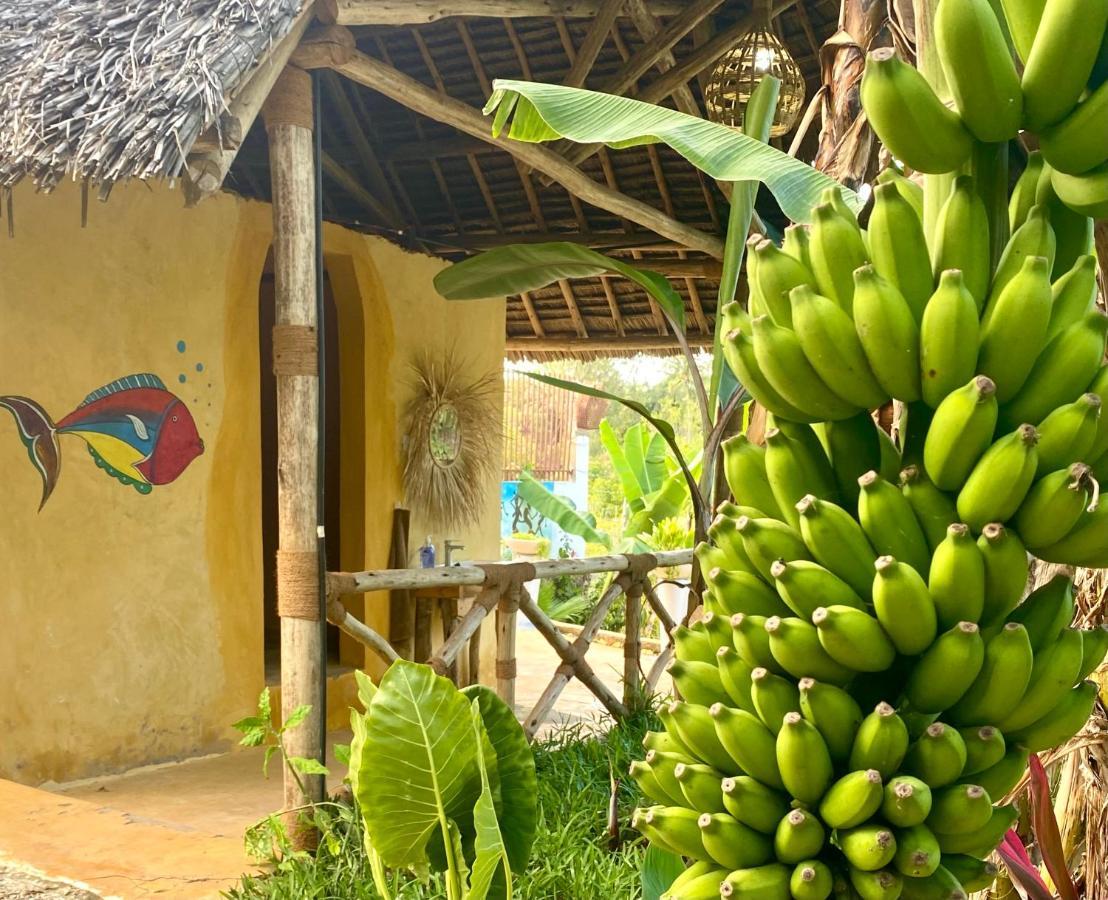 Hytte Kingstone Zanzibar Bet-el-Mali