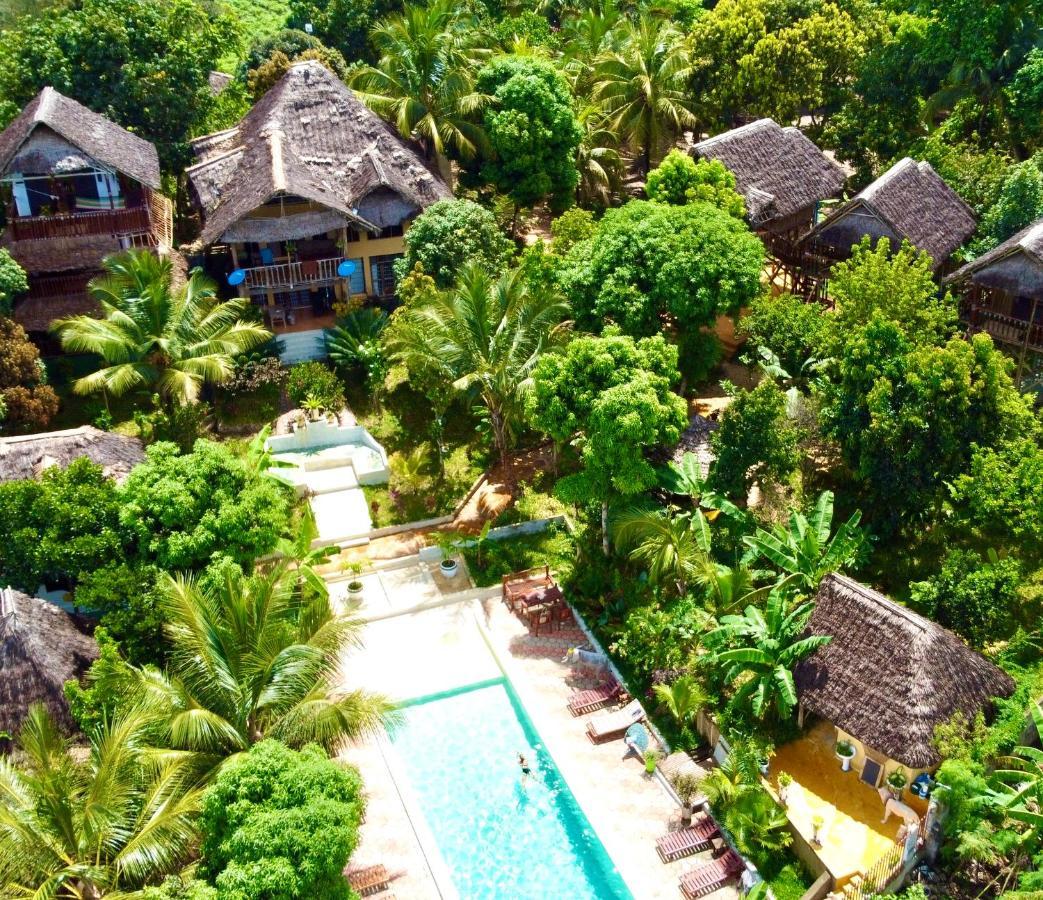 Kingstone Zanzibar Lodger
